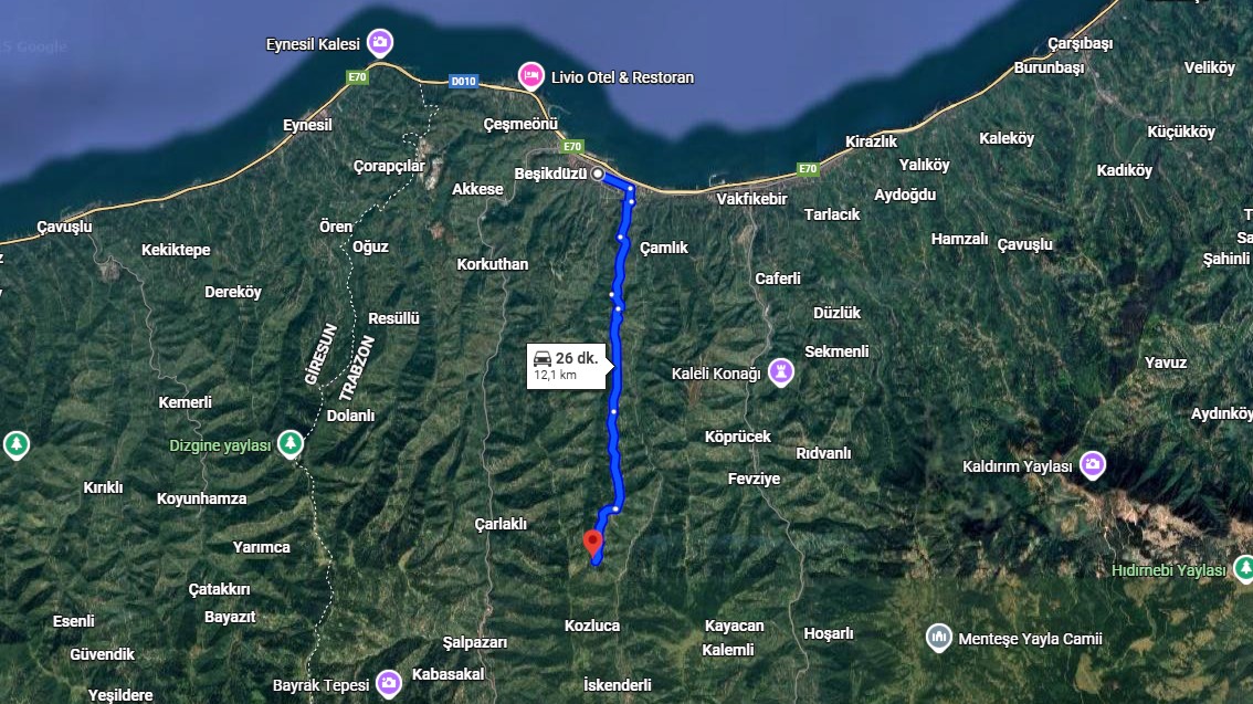 TRABZON BEŞİKDÜZÜ DAĞLICA MAHALLESİNDE 8.103 M²  FINDIK BAHÇEMİZ SATILIKTIR. - TRABZON BEŞİKDÜZÜ fotoğraf 4